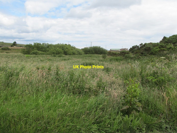 Photo 6"x4" An area of unreclaimed land east of Brackenagh East Road Ballymartin c2012