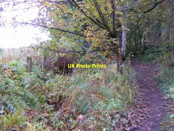 Photo 6"x4" Plantation Edge Himley c2012