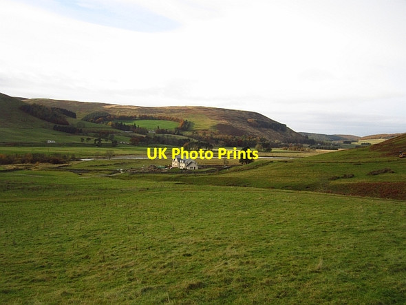 Photo 6"x4" Hopecarton pasture Stanhope\/NT1229 c2012