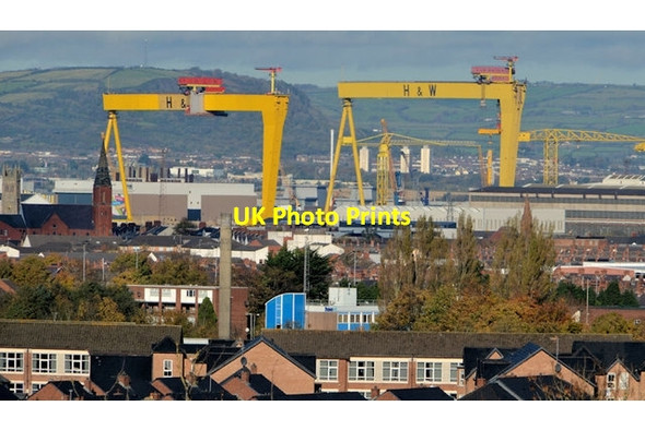 Photo 6"x4" Samson and Goliath, Belfast (4) Belfast c2012