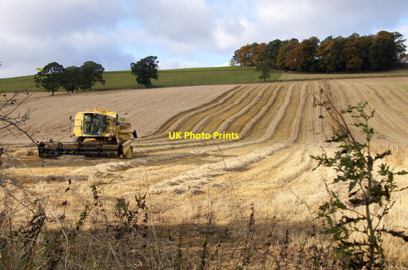 Photo 6"x4" Combine harvester in a field near Balblair Balblair\/NH5045 c2012