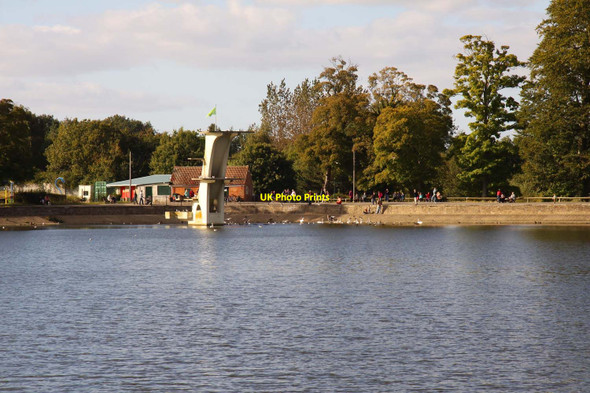 Photo 6"x4" The diving platform at Coate Water Coate\/SU1882 c2012