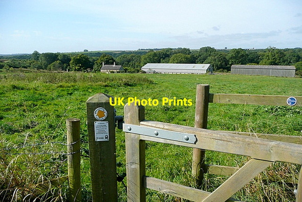 Photo 6"x4" Towards Tangley Farm Fifield\/SP2418 c2012