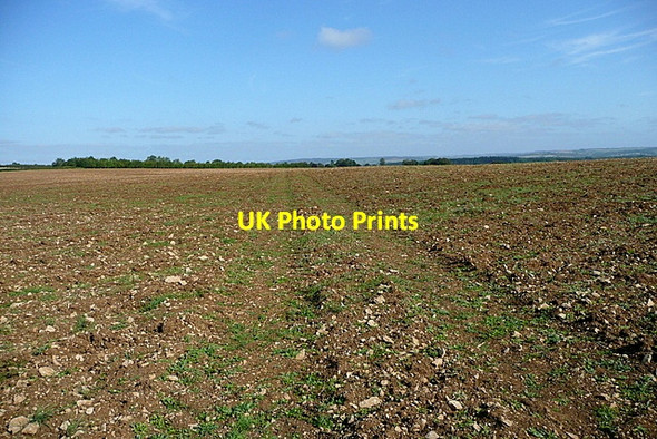 Photo 6"x4" Footpath towards Fifield Fifield\/SP2418 c2012
