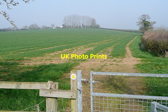 Photo 6"x4" Fields at City Farm Church Hanborough c2012
