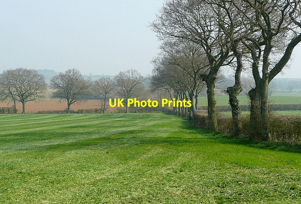 Photo 6"x4" Grassland at Acre Hill Farm Eynsham c2012