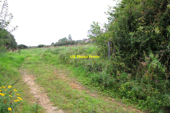 Photo 6"x4" A field just north of the A35 site of Seaview Cottages Bridport c2012