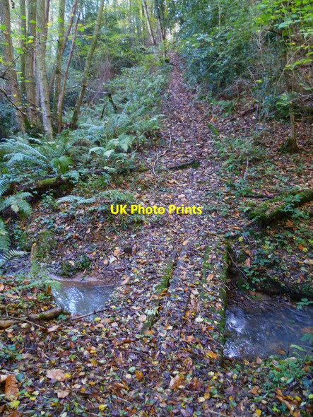 Photo 6"x4" Footbridge over stream south east of Fernhurst Dial Green c2012