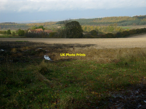 Photo 6"x4" View NW from the edge of the woods Ganthorpe c2012