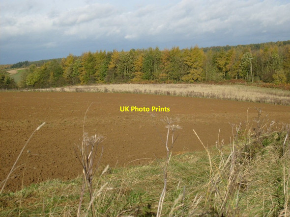 Photo 6"x4" In between the Baxtonhowes Ganthorpe c2012