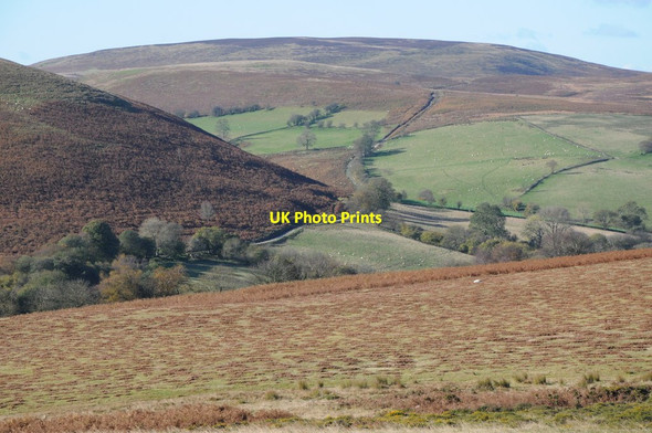 Photo 6"x4" Allt Dderw Bryngwyn\/SO1849 c2012