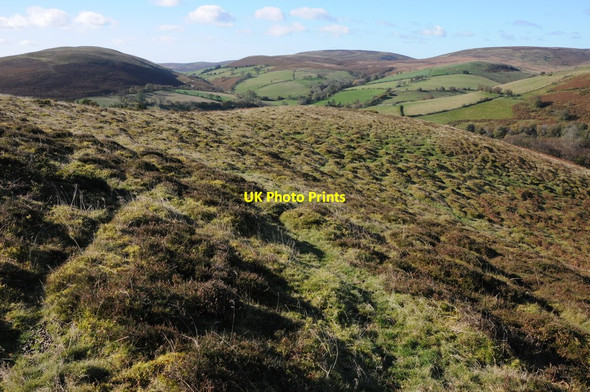 Photo 6"x4" Bryngwyn Hill and Allt Dderw Bryngwyn\/SO1849 c2012