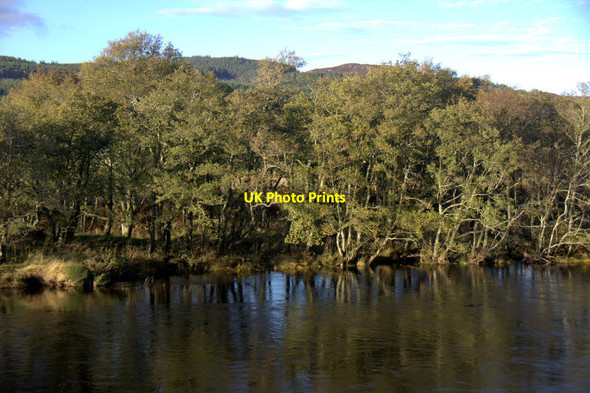 Photo 6"x4" Woodland beside the River Beauly at Erchless Erchless Castle c2012
