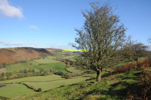 Photo 6"x4" View to Colva Bryngwyn\/SO1849 c2012