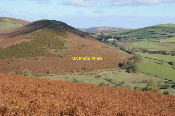 Photo 6"x4" Yr Allt Bryngwyn\/SO1849 c2012