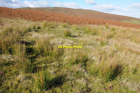 Photo 6"x4" Black Hill Bryngwyn\/SO1849 c2012