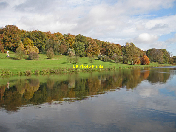 Photo 6"x4" Ray Wood, autumn tints Coneysthorpe c2012