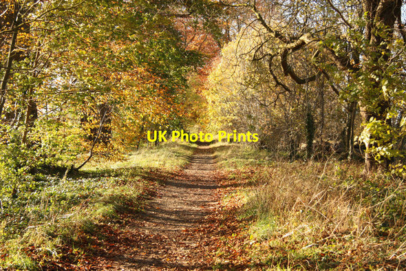 Photo 6"x4" The Old Coach Road Burton-by-Lincoln c2012