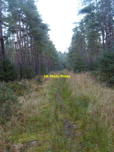 Photo 6"x4" Blawath Road Stape c2012