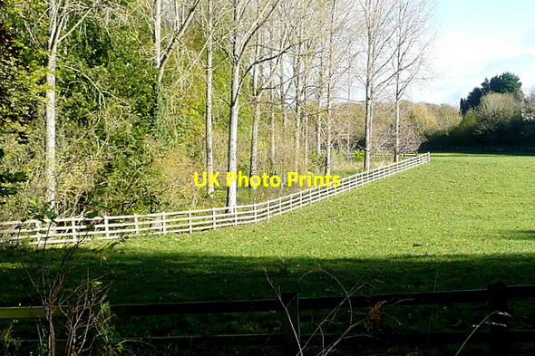 Photo 6"x4" Near Dog Kennel Wood Fulwell\/SP3723 c2012