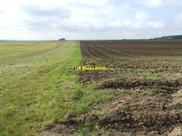 Photo 6"x4" Half Ploughed Balsam c2012