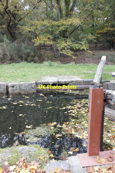 Photo 6"x4" One missing Pirbright Camp c2012