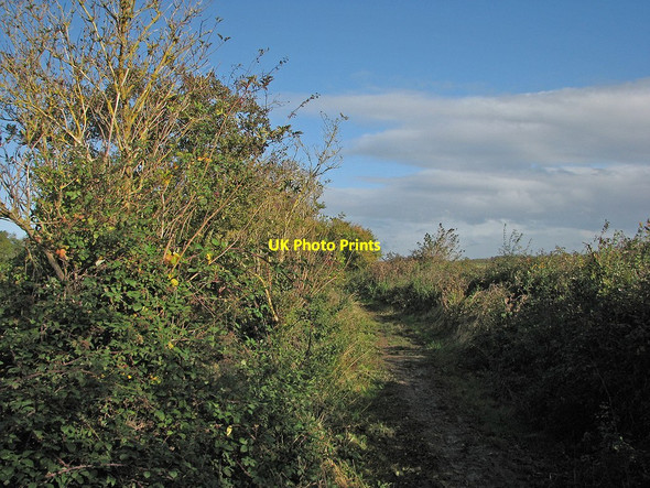 Photo 6"x4" Comberton to Hardwick Comberton\/TL3856 c2012