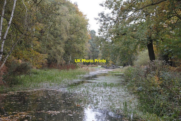 Photo 6"x4" Towards Lock 20 Pirbright Camp c2012