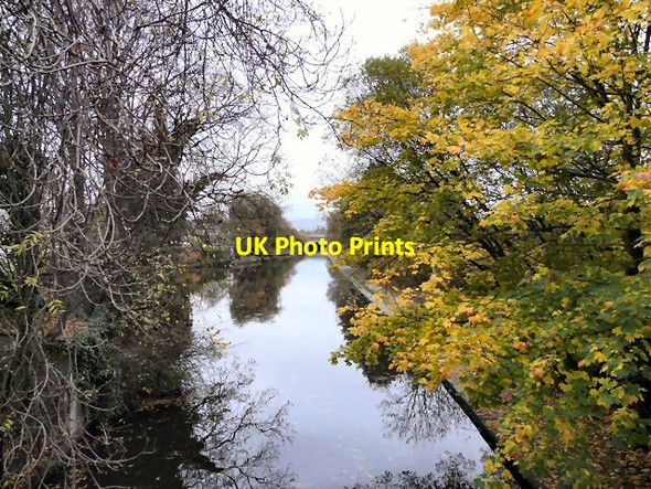 Photo 6"x4" Ashton Canal Denton\/SJ9295 c2012