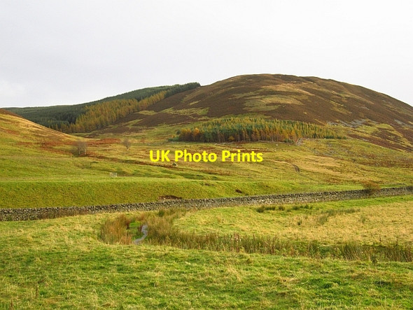 Photo 6"x4" Hill above Stanhope Stanhope\/NT1229 c2012