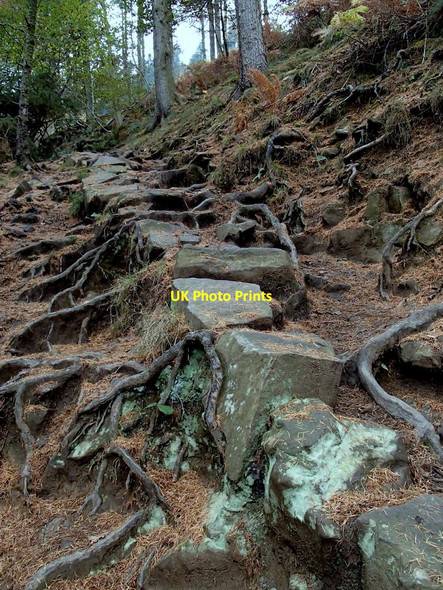 Photo 6"x4" Path by Parkin Clough Ashopton c2012