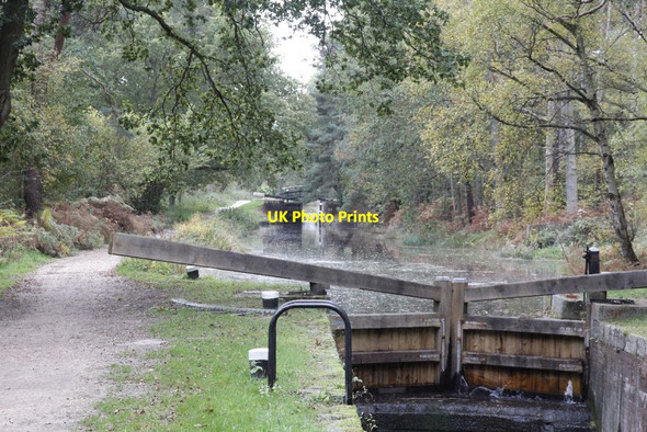 Photo 6"x4" Towards Lock 24 Pirbright Camp c2012