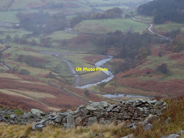 Photo 6"x4" Woodlands Valley scene Nether Booth c2012