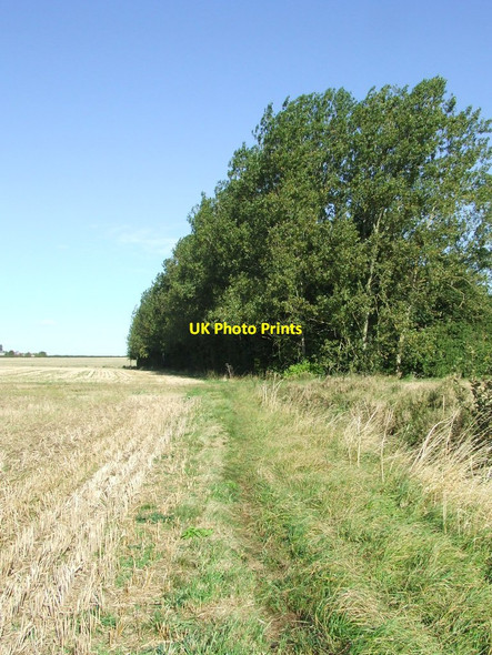 Photo 6"x4" Small Copse Haverhill\/TL6645 c2012