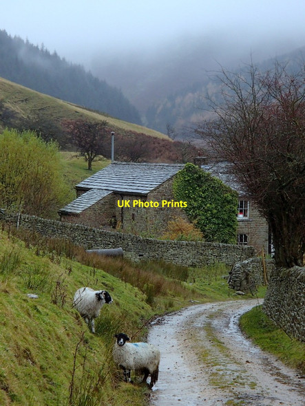 Photo 6"x4" Alport Farm Alport Castles Fm c2012