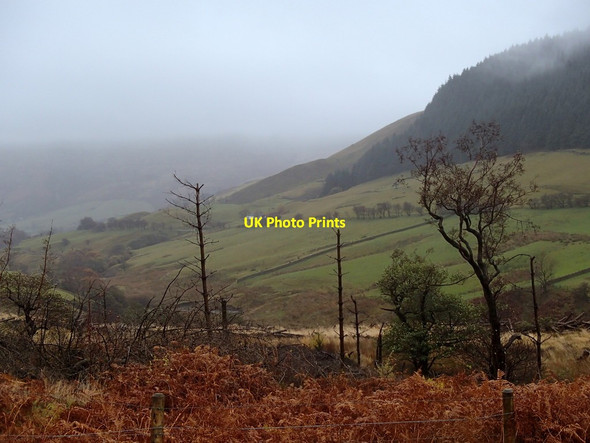 Photo 6"x4" Alport Dale scene Alport Castles Fm c2012
