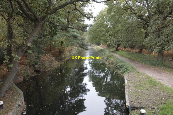 Photo 6"x4" Looking back to Lock 23 Pirbright Camp c2012