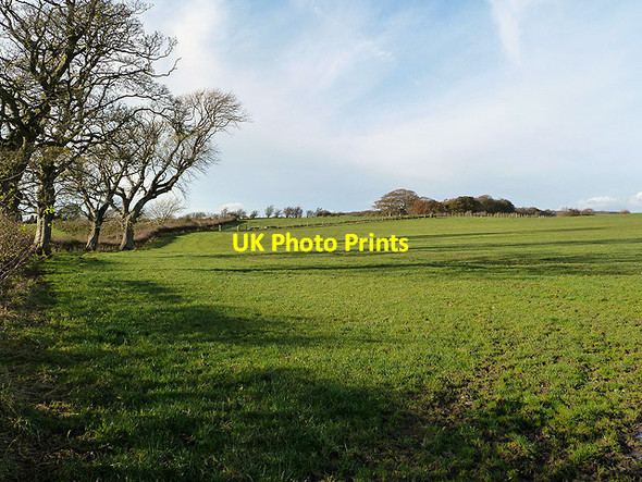 Photo 6"x4" Farmland at Twathats Carrutherstown c2012