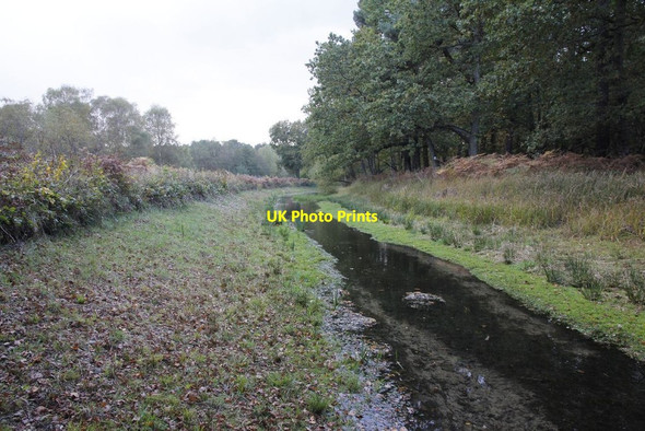 Photo 6"x4" From the canal Pirbright Camp c2012