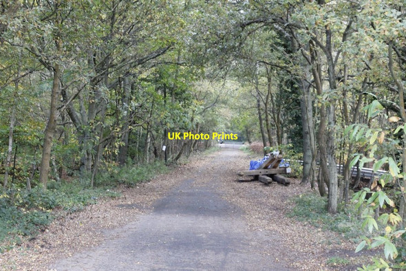 Photo 6"x4" Track to Gapemouth Road Pirbright Camp c2012