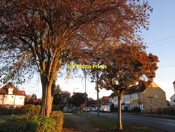 Photo 6"x4" Anlaby Park Road South Hessle\/TA0326 c2012