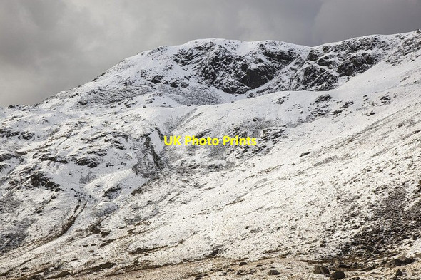 Photo 6"x4" Brown Pike Scar Head c2012