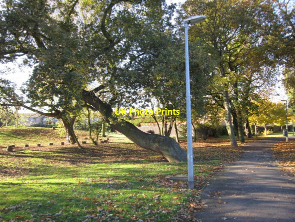 Photo 6"x4" Bellfield Avenue, Hull Sutton Ings\/TA1231 c2012