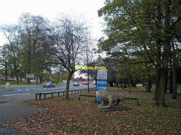 Photo 6"x4" One of the Lions of Weelsby Woods Grimsby c2012