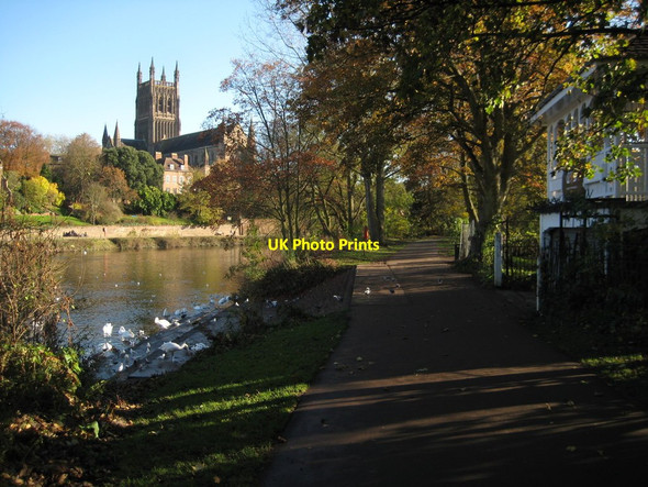 Photo 6"x4" Worcester Cathedral and the River Severn Worcester c2012