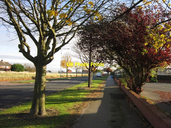 Photo 6"x4" Hopewell Road, Hull Neat Marsh c2012