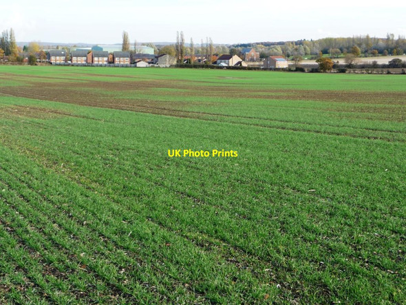 Photo 6"x4" Patchy crop, south-west of Common Side Farm Hemsworth\/SE4213 c2012