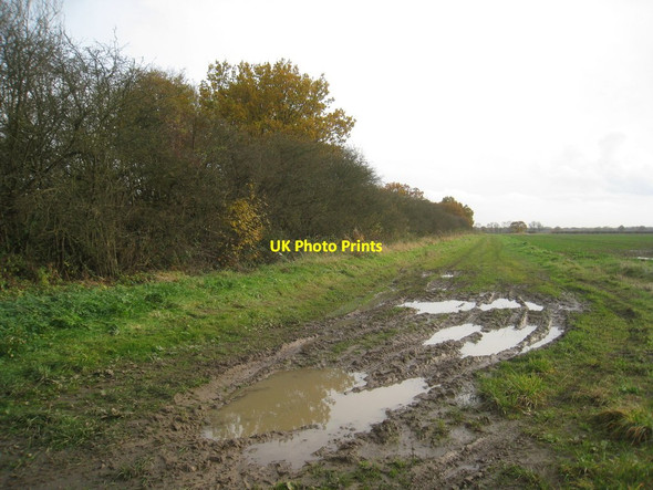 Photo 6"x4" Bridleway to the Pyewipe Inn Burton-by-Lincoln c2012