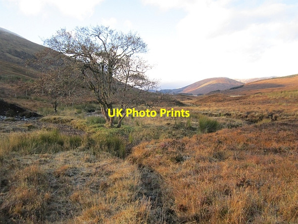 Photo 6"x4" River Carron Allt Gharagain c2012