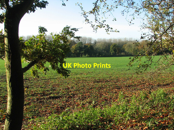 Photo 6"x4" Cultivated field west of Beech Walk, Keswick Keswick\/TG2004 c2012